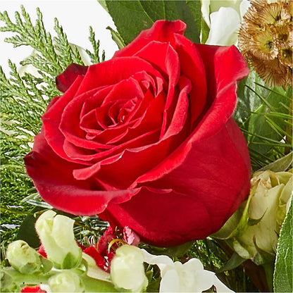 Deck the Halls Bouquet – AZAR FLRST INC/NEWPORT BEACH FLRST & GDN, Irvine CA