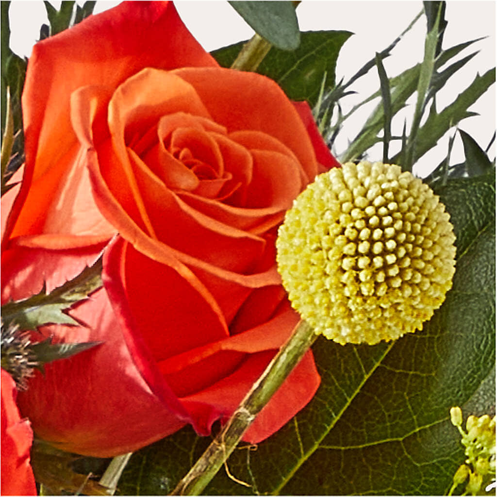 Disco Bouquet – AZAR FLRST INC/NEWPORT BEACH FLRST & GDN, Irvine CA