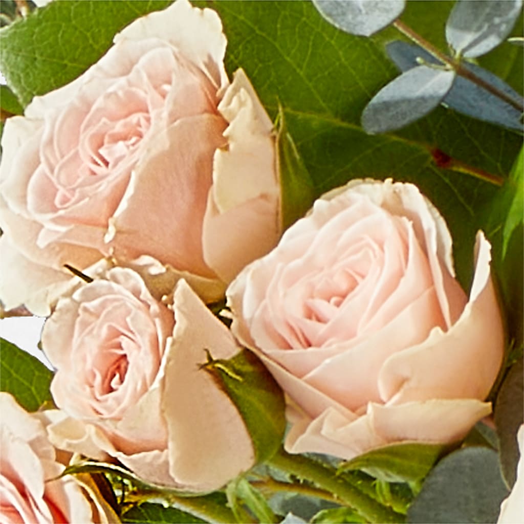 Inspired Bouquet – AZAR FLRST INC/NEWPORT BEACH FLRST & GDN, Irvine CA