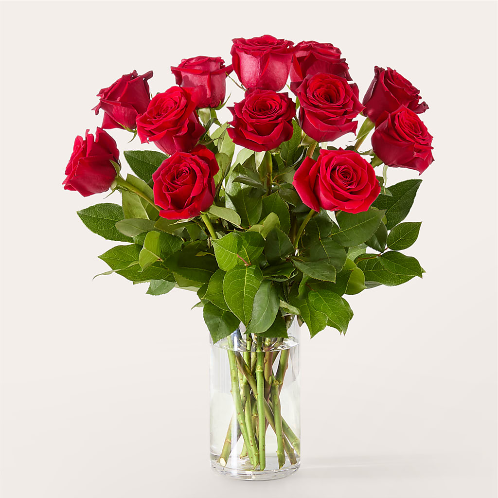 The One Red Rose Bouquet – AZAR FLRST INC/NEWPORT BEACH FLRST & GDN, Irvine CA