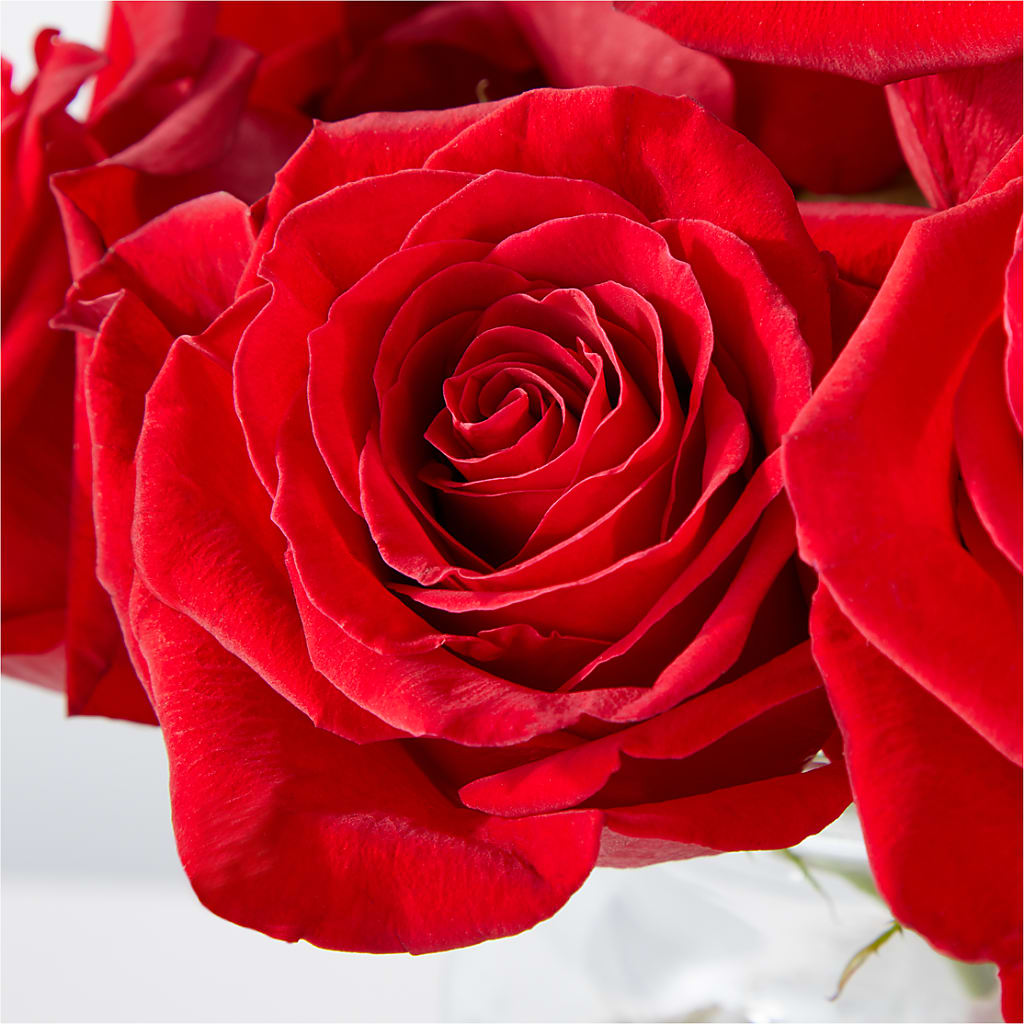 Cupid's Embrace Red Rose Bouquet – AZAR FLRST INC/NEWPORT BEACH FLRST & GDN, Irvine CA