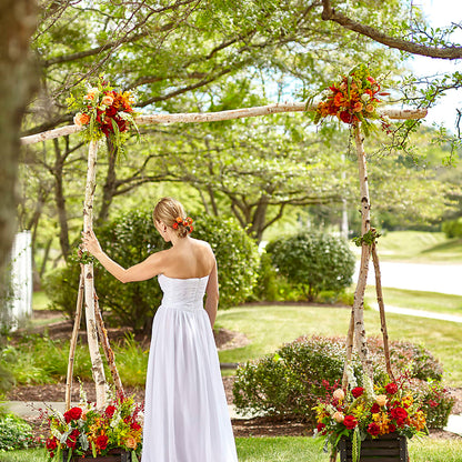 Arbor of Love Archway – AZAR FLRST INC/NEWPORT BEACH FLRST & GDN, Irvine CA