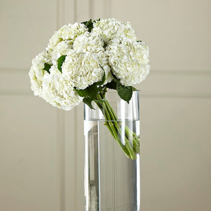 White Hydrangea Hand-Tied Bouquet – AZAR FLRST INC/NEWPORT BEACH FLRST & GDN, Irvine CA