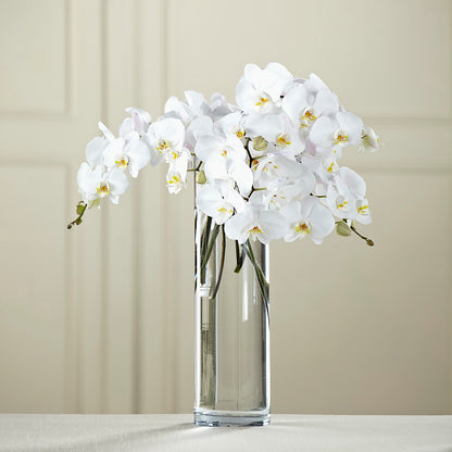 White Phalaenopsis Bouquet – AZAR FLRST INC/NEWPORT BEACH FLRST & GDN, Irvine CA