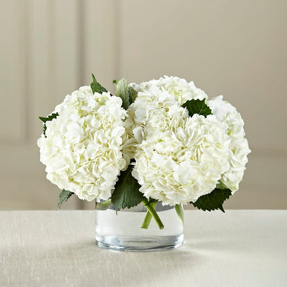 White Hydrangea Bouquet – AZAR FLRST INC/NEWPORT BEACH FLRST & GDN, Irvine CA